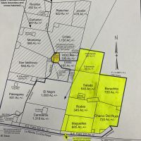 Deep South Texas Lease, 3750 acres, Starr County, TX 2024/25 Season