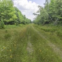 Northern Maine 1300 Acre Hunting Lease