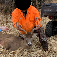 Buck 5