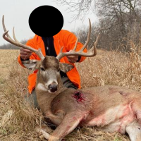 Wide buck1