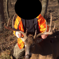 Wide buck 2