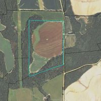 GREAT AREA, BIG BUCK HUNTING!