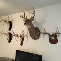 Excellent deer lease close to Fort Worth
