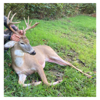 Pawnee County OK 317 acres Hunting/Fishing Lease