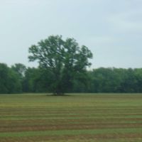 Spencer County, IN farm including 120 acres of timber on the Ohio River
