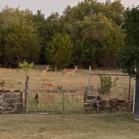 Img 1455 copy