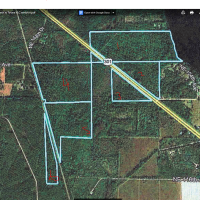 125 Acre Hunting Lease Lake Alto Waldo Florida