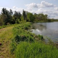 Amazing 40acres with huge pond right next to the Salamonie Reservoir