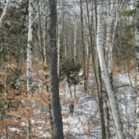Img 6212