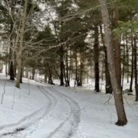 Img 7124