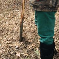 DEER  HAVEN:&nbsp; 100 acres of Hardwoods / Cedar Swamps / Rolling Terrain / Open Pastures / Wild Apples