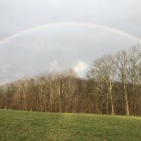 Img 9792
