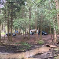 Available 5 acres Frankfort, Michigan - Cedar Swamp, Hardwoods, Stream