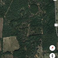 300 acres of wooded land