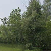 Lush hunting land