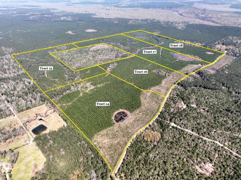 40 acres T-16 Spurger Pines North featured image