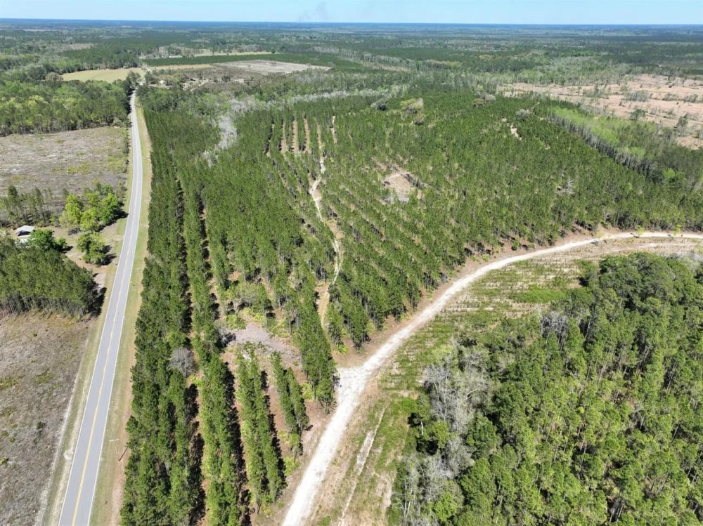 400 Acre River Road Tract Charlton County GA featured image