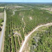 400 Acre River Road Tract Charlton County GA