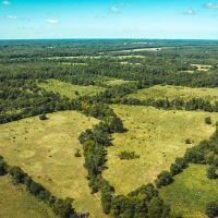 Eastern Ozark Border Pasturelands 215