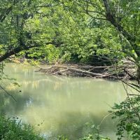 82.97 -acres Bordering the Sequatchie River