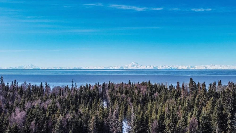 11.17 ACRES K-BEACH OCENAFRONT MOUNTAINVIEW featured image