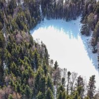 11.17 ACRES K-BEACH OCENAFRONT MOUNTAINVIEW images 5