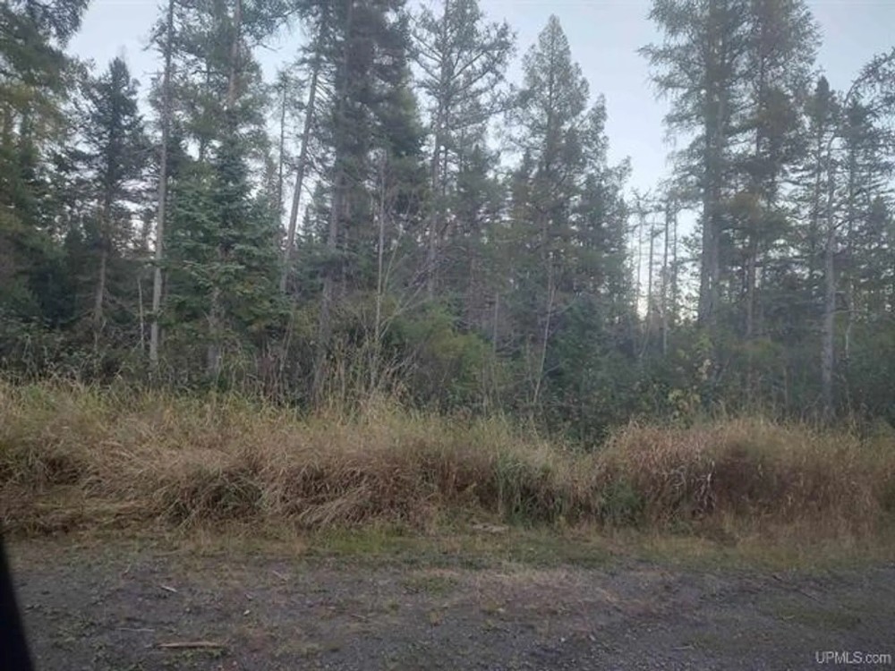 40 - Acres Baraga County 50125682 featured image