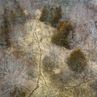 Nodaway Whitetails 223 images 4