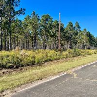 Investment Property Great Location and Hunting images 2