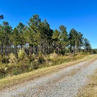 Investment Property Great Location and Hunting images 3