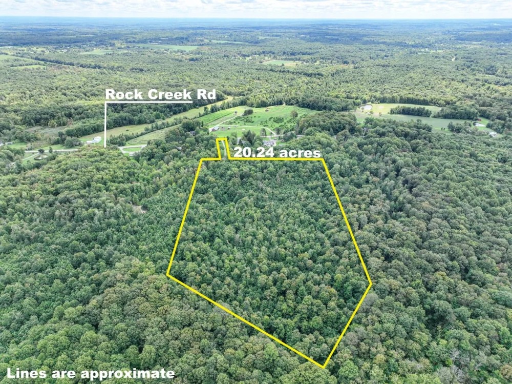 Rock Creek Rd - 20 acres - Geuaga County featured image