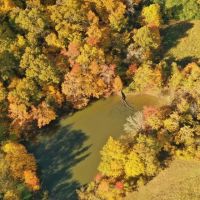 Martha s Ridge Tract 2 - 100 Acres Land for Sale East AR images 3