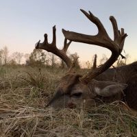 Martha s Ridge Tract 2 - 100 Acres Land for Sale East AR images 4