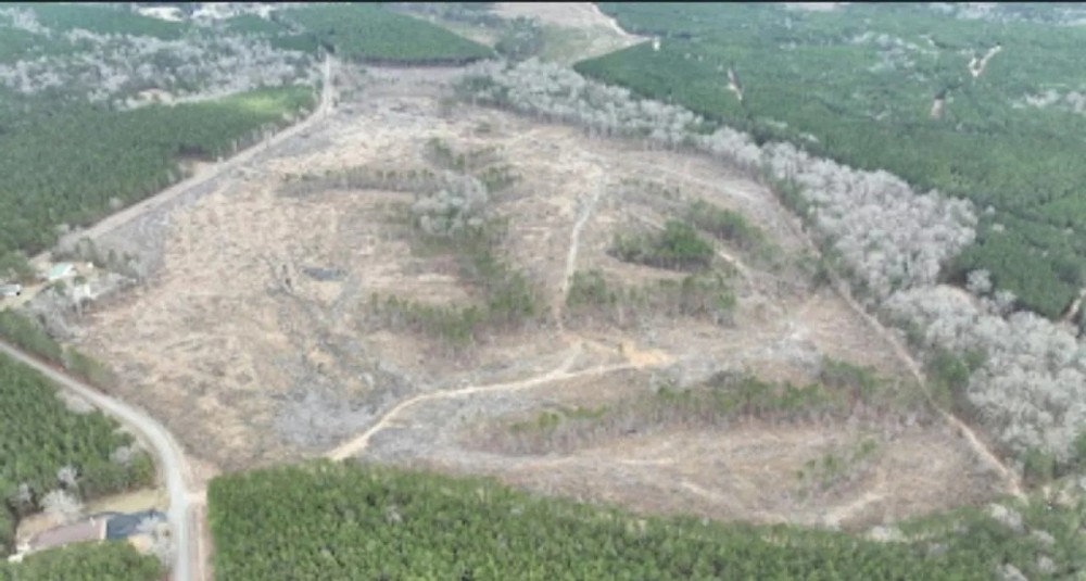 Highway 127 Tract A LaSalle Parish 36.72 Acres - featured image