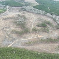 Highway 127 Tract A LaSalle Parish 36.72 Acres - images 4