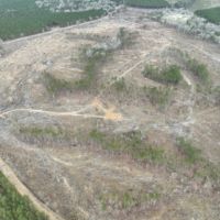 Highway 127 Tract A LaSalle Parish 36.72 Acres - images 2
