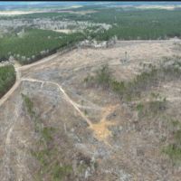 Highway 127 Tract A LaSalle Parish 36.72 Acres - images 3