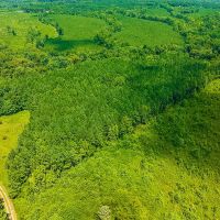 MARKET BASED PRICE IMPROVEMENT 12.00 acres of Multi-use Land for Sale in Warren County NC images 2