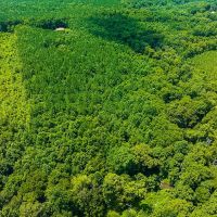 MARKET BASED PRICE IMPROVEMENT 12.00 acres of Multi-use Land for Sale in Warren County NC images 4