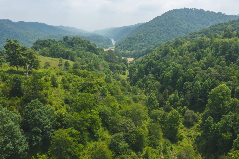 Farmland Auction in Tennessee featured image