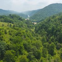 Farmland Auction in Tennessee images 1
