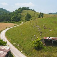 Farmland Auction in Tennessee images 4