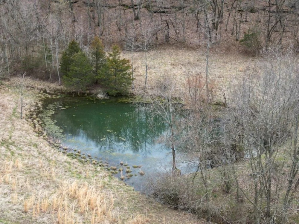 Buck Spring Ridge featured image