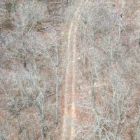 Buck Spring Ridge images 4