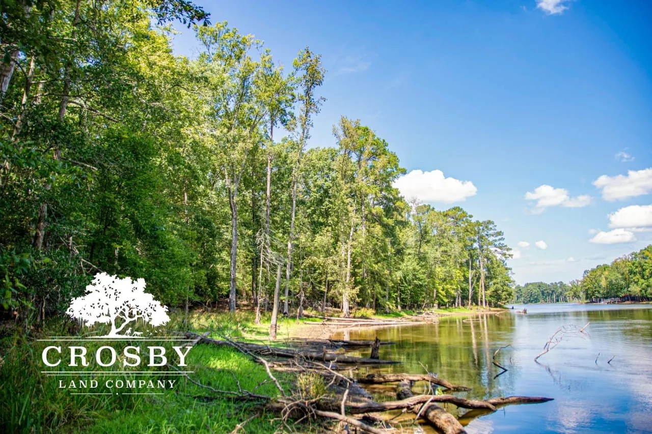 Shiner Lane Hunting Land for Sale