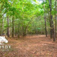 Shiner Lane images 2