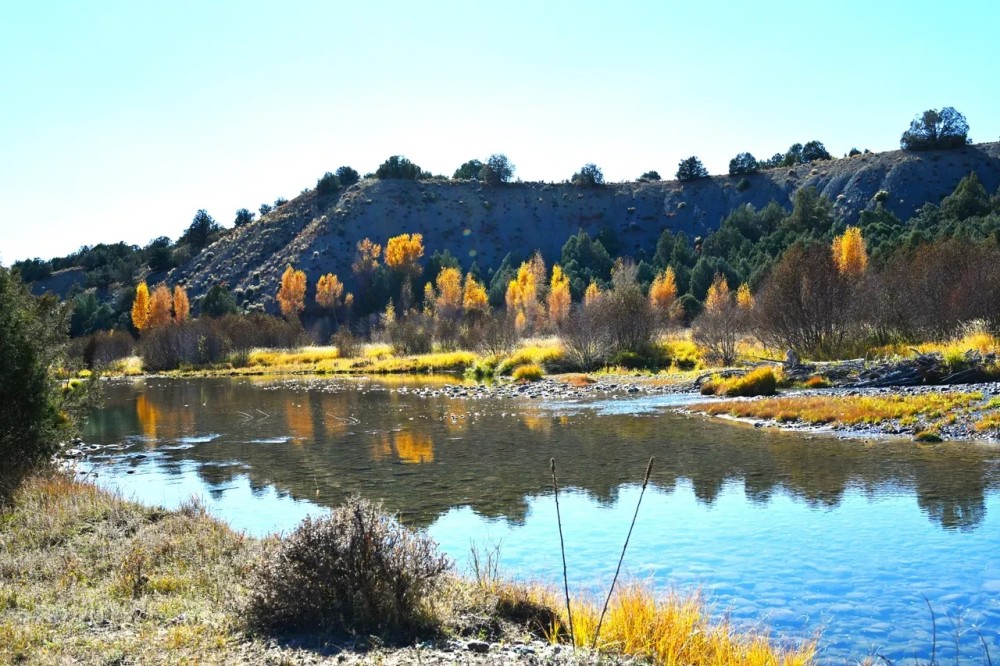 Two Rivers Ranch featured image