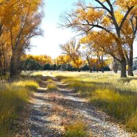 Two Rivers Ranch images 2