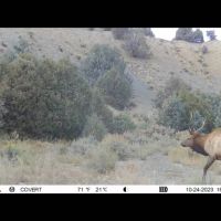 Two Rivers Ranch images 3