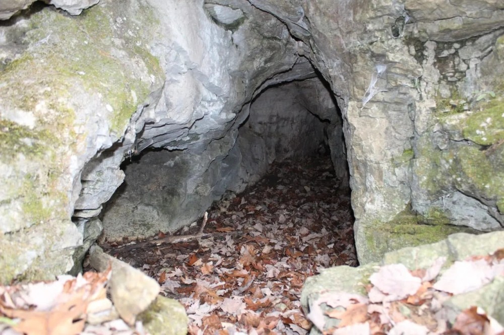 SECLUDED HUNTING PROPERTY featured image